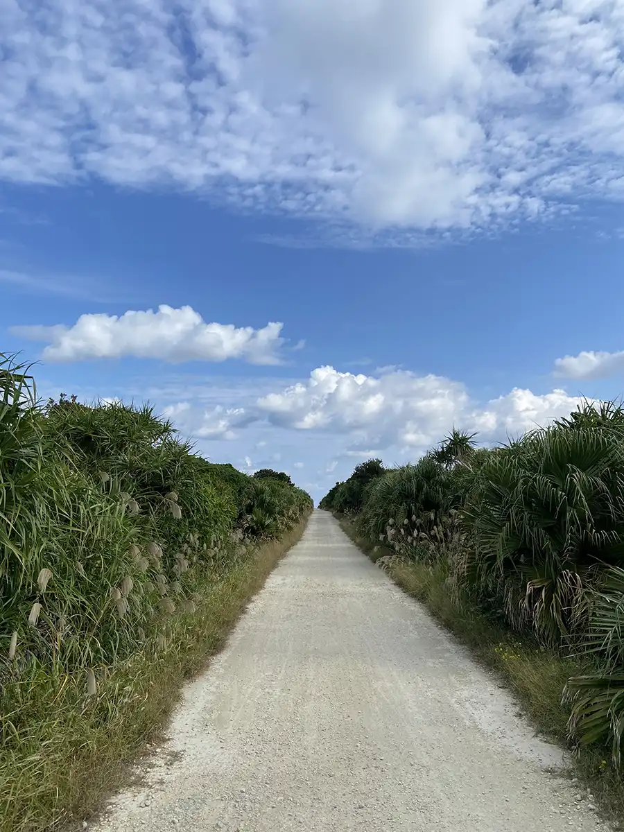青空の下、緑の間をまっすぐに伸びる道